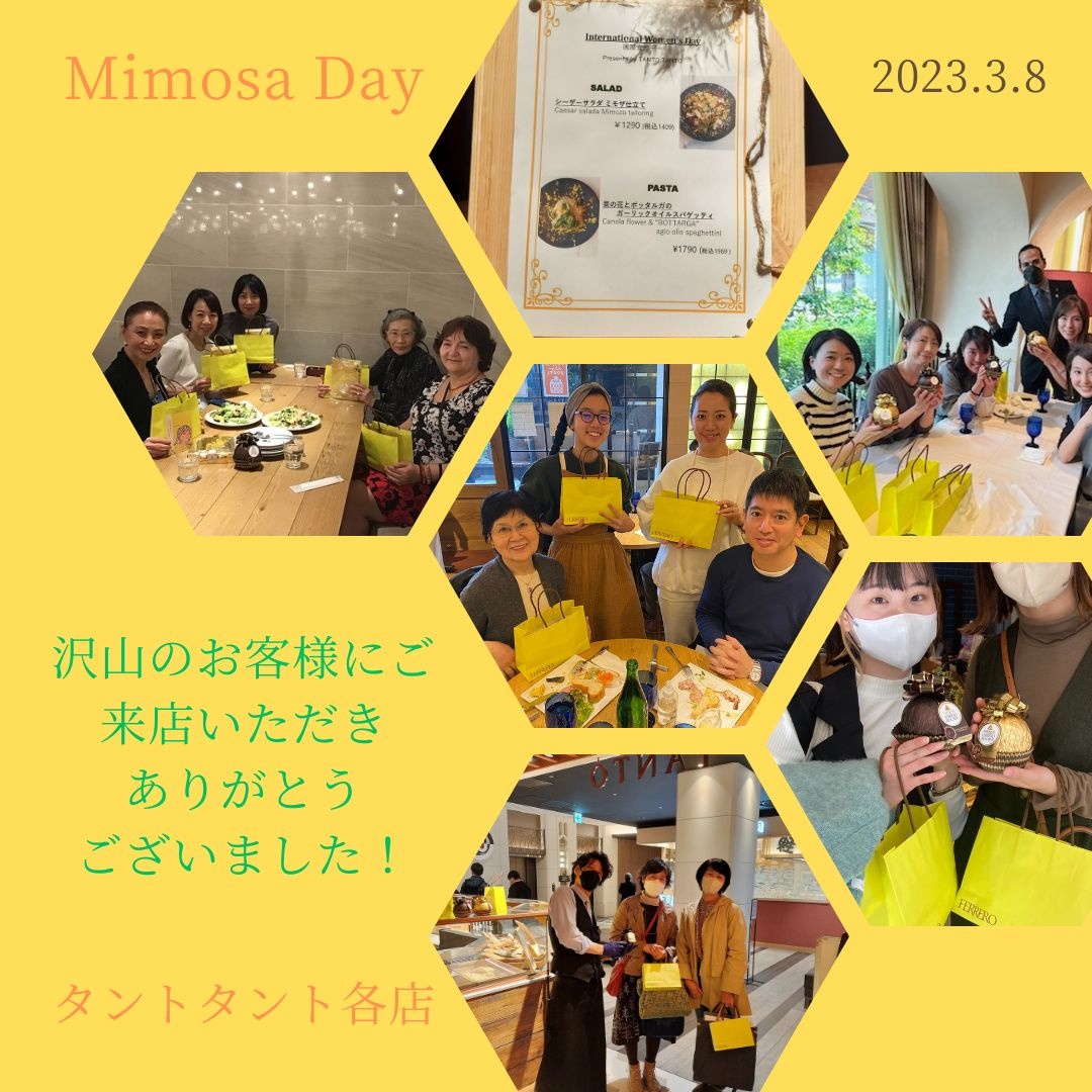 Mimosa Day 2023』ご来店ありがとうございました！ | TANTO TANTO